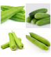 Agromate Combo Kitchen Garden Pack (16 Vegetable OP Varieties) 